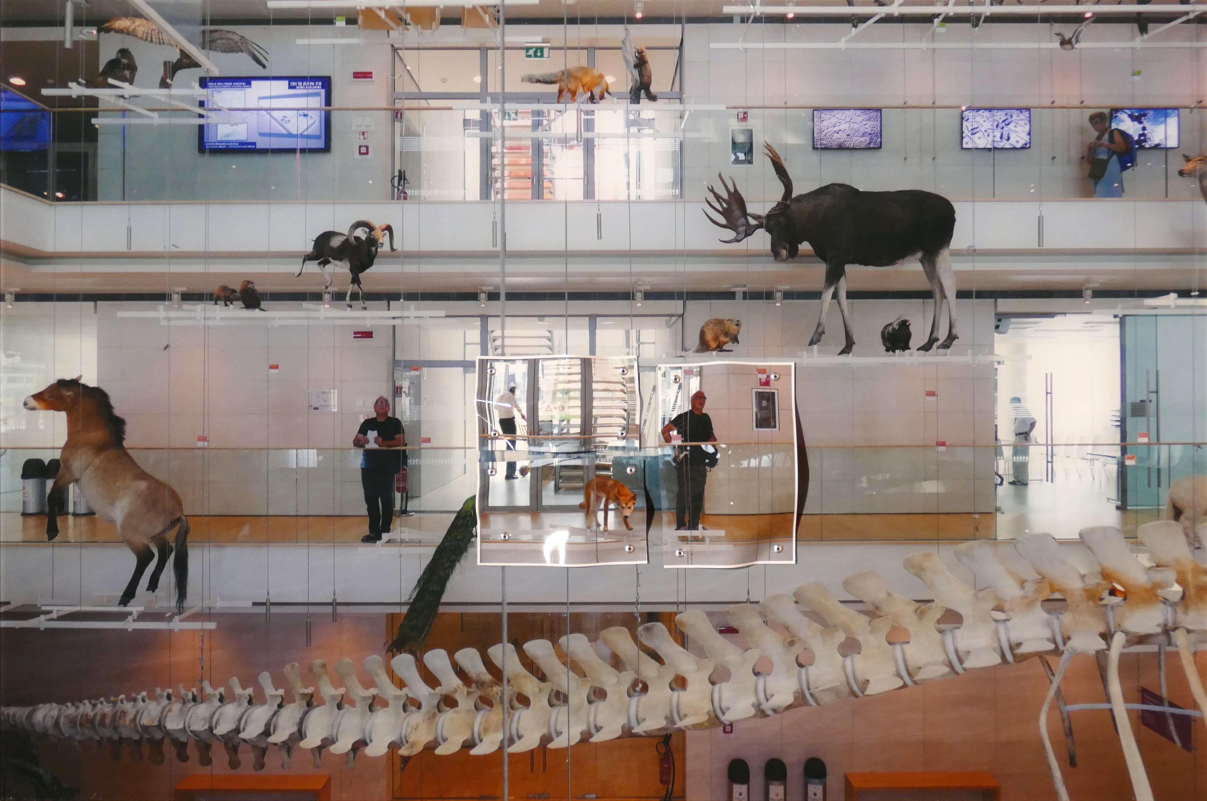 visit 대표이미지