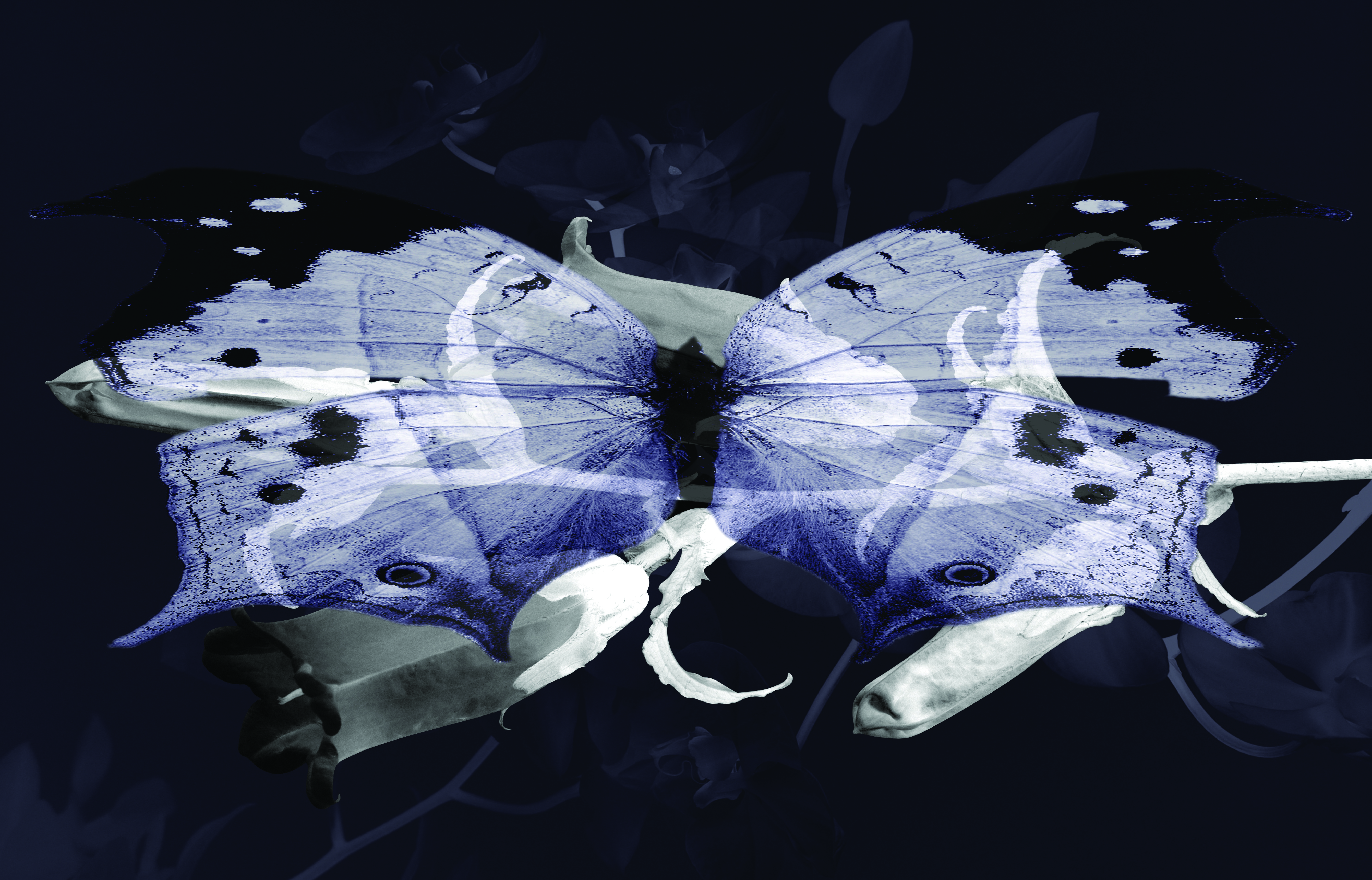 visit 대표이미지