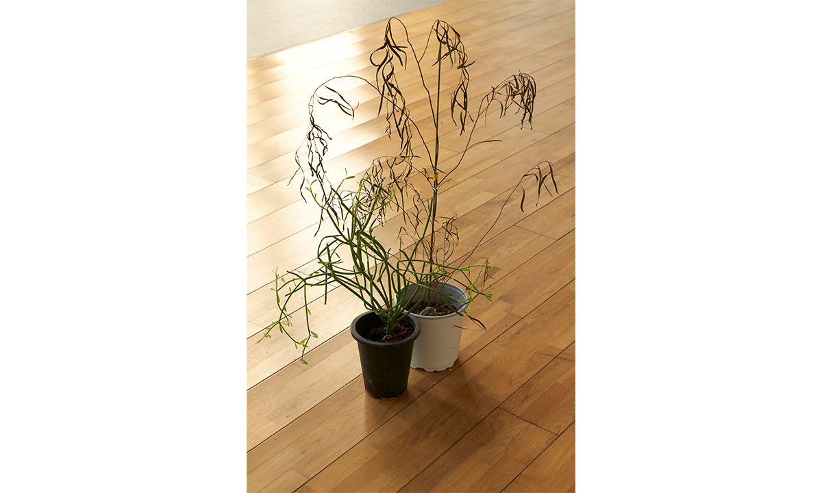 visit 대표이미지