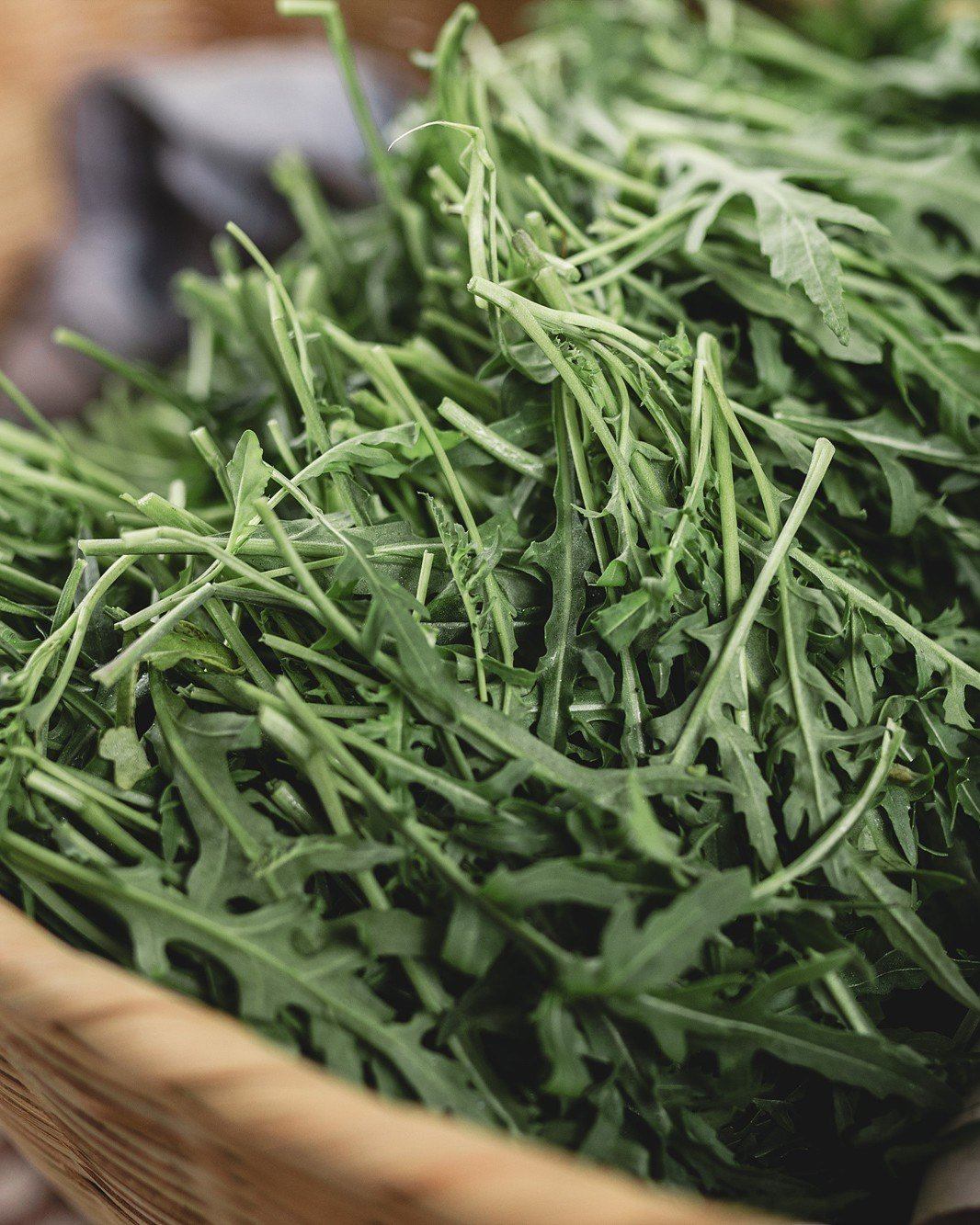 visit 대표이미지