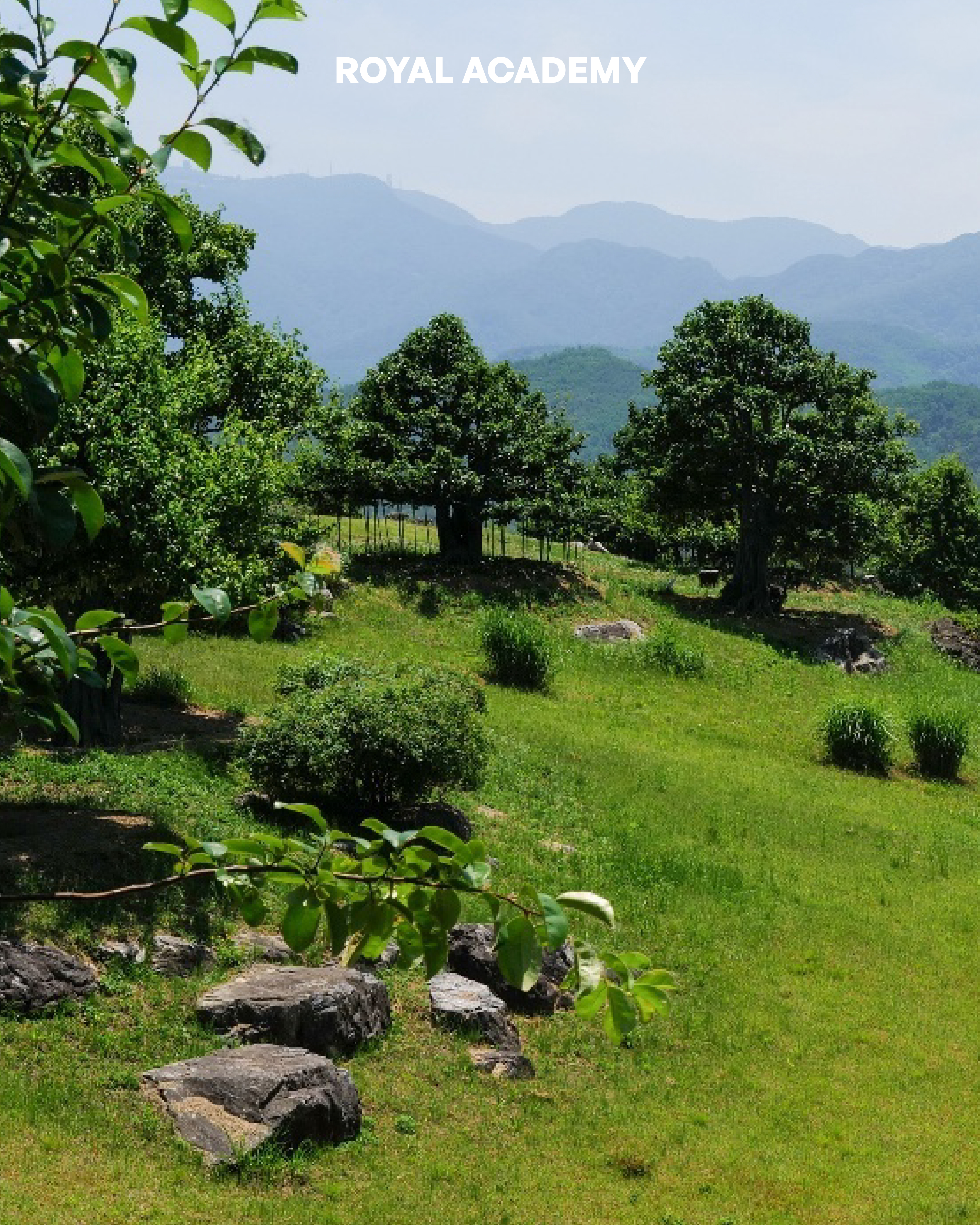 visit 대표이미지