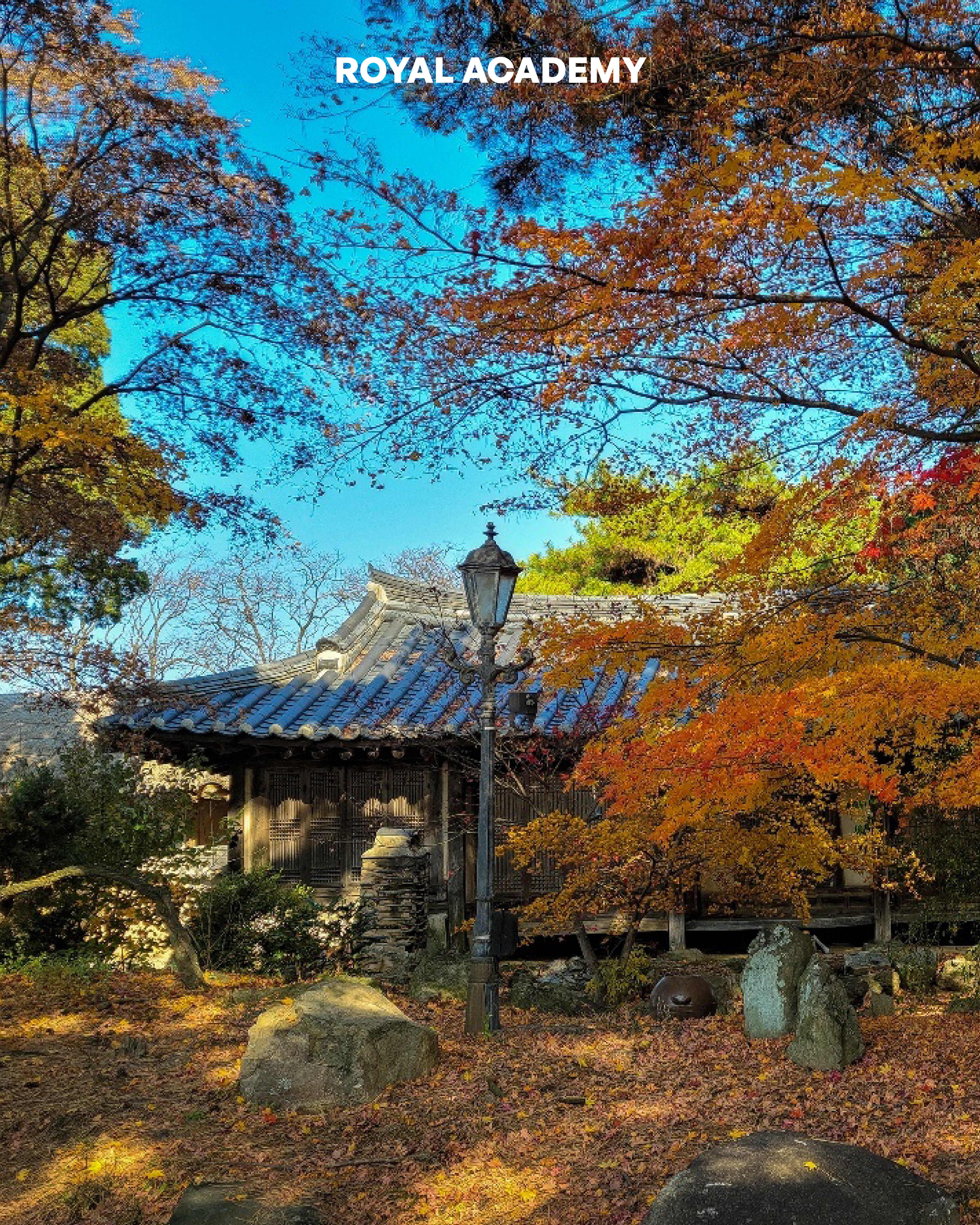 visit 대표이미지