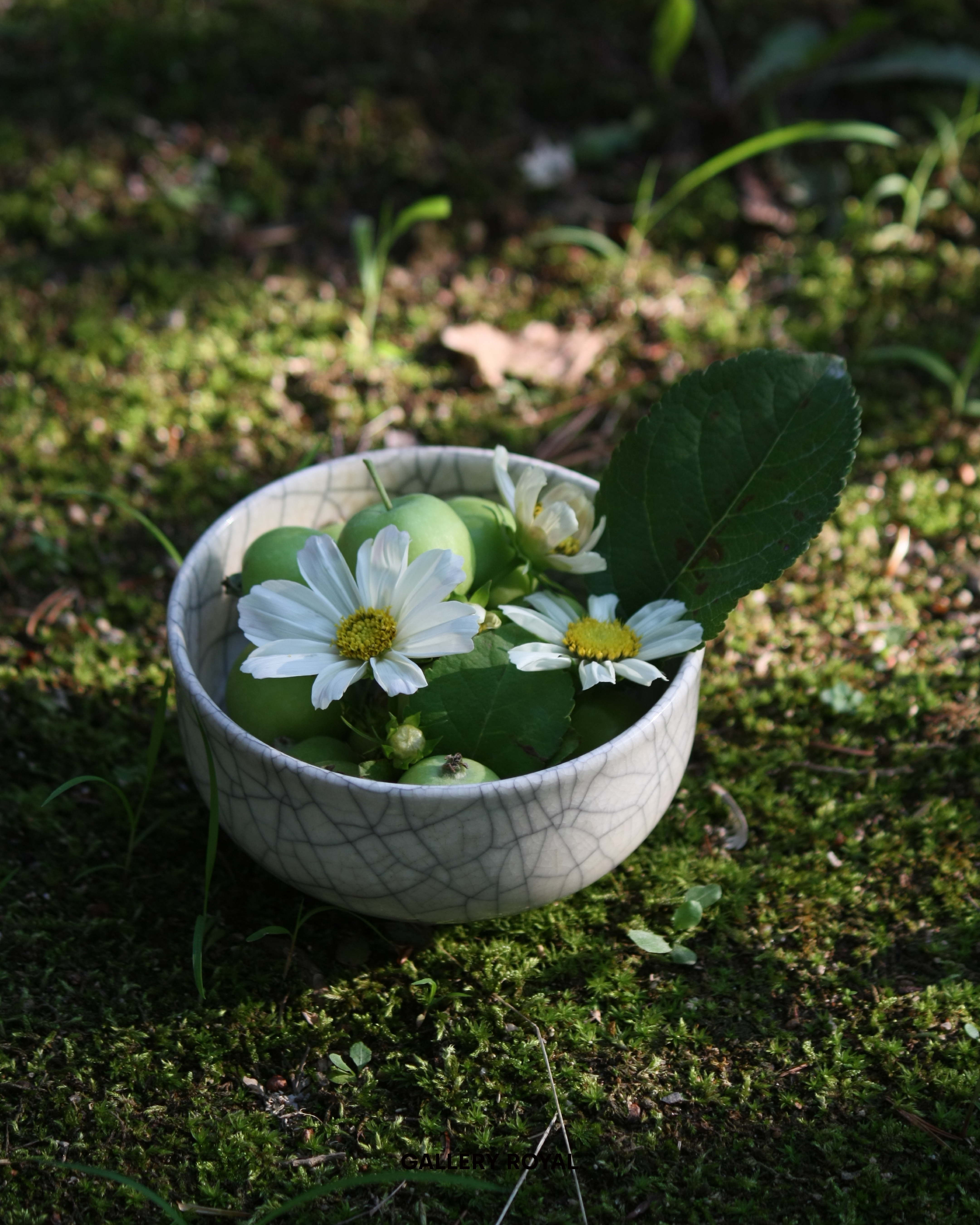 visit 대표이미지