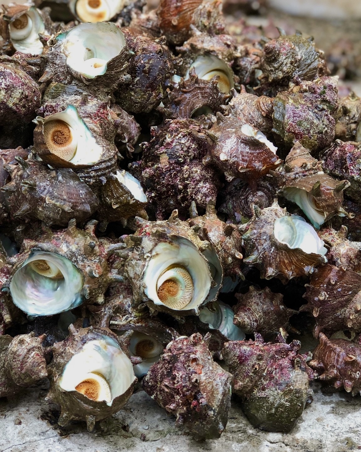 visit 대표이미지