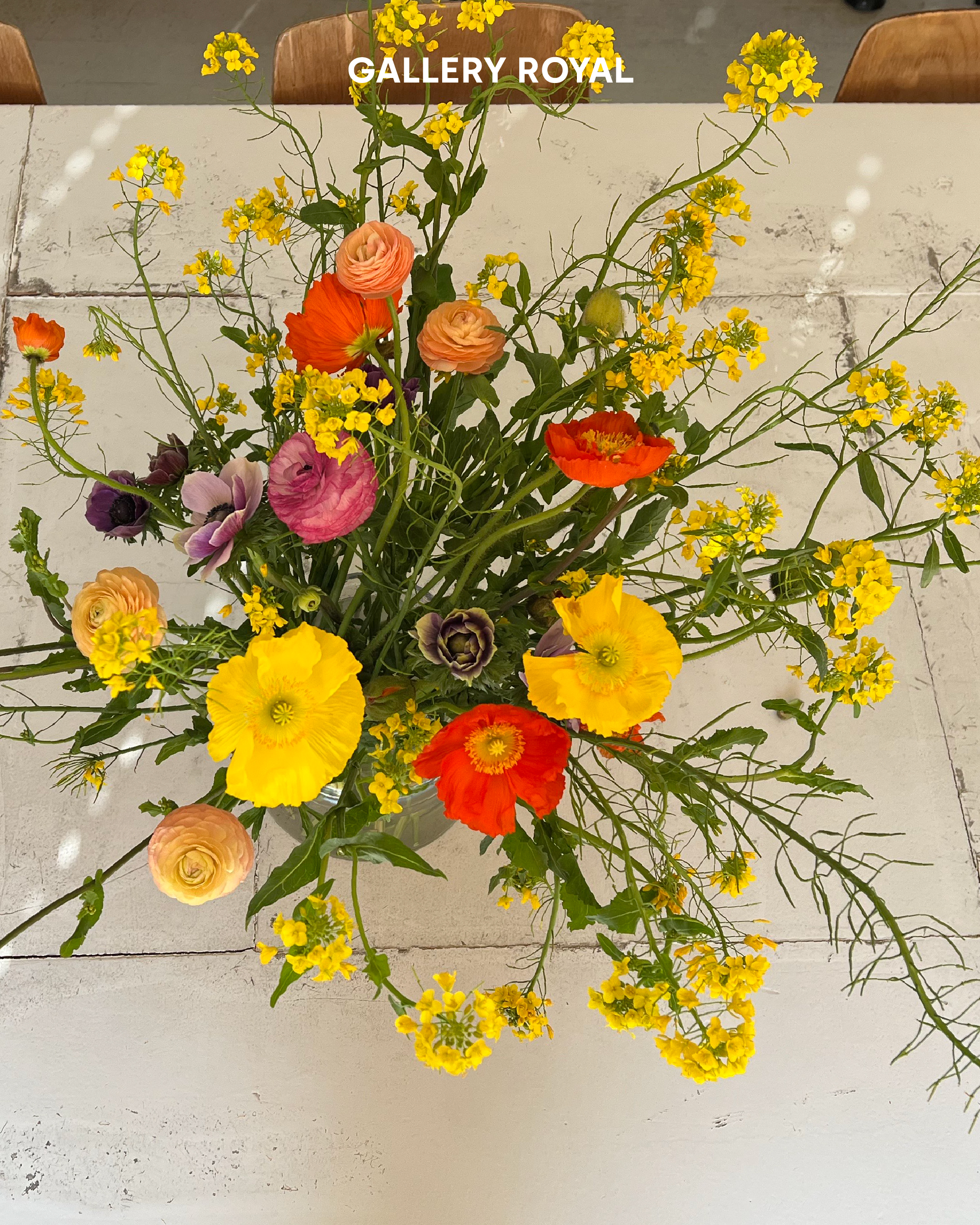 visit 대표이미지