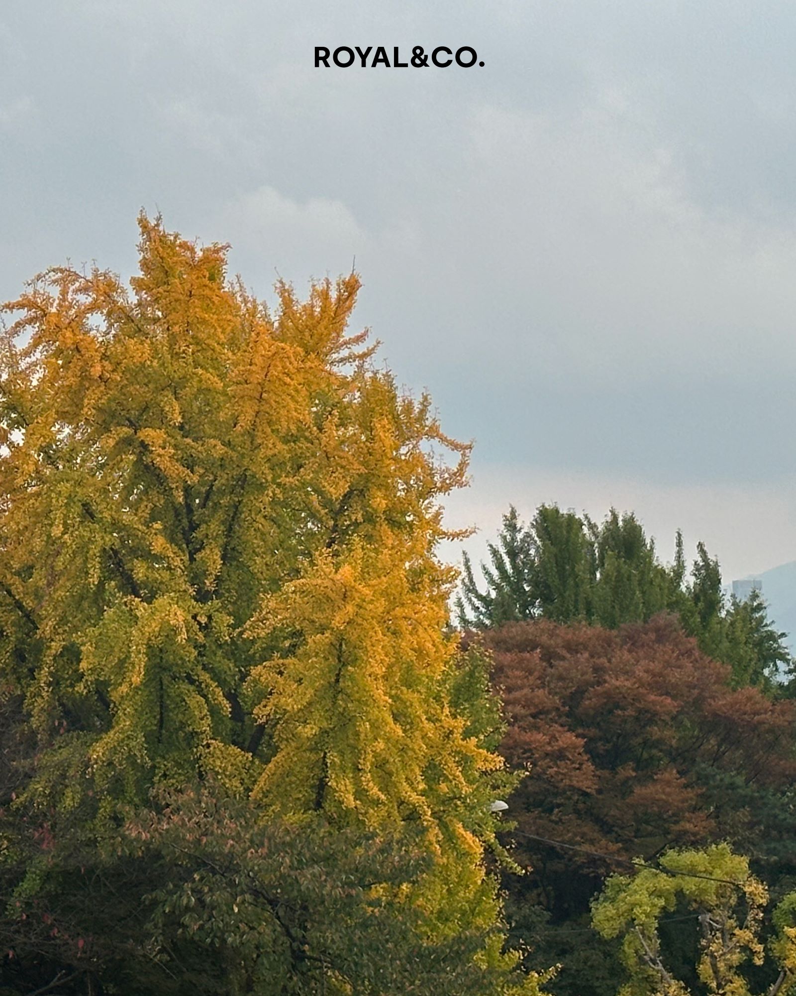 visit 대표이미지