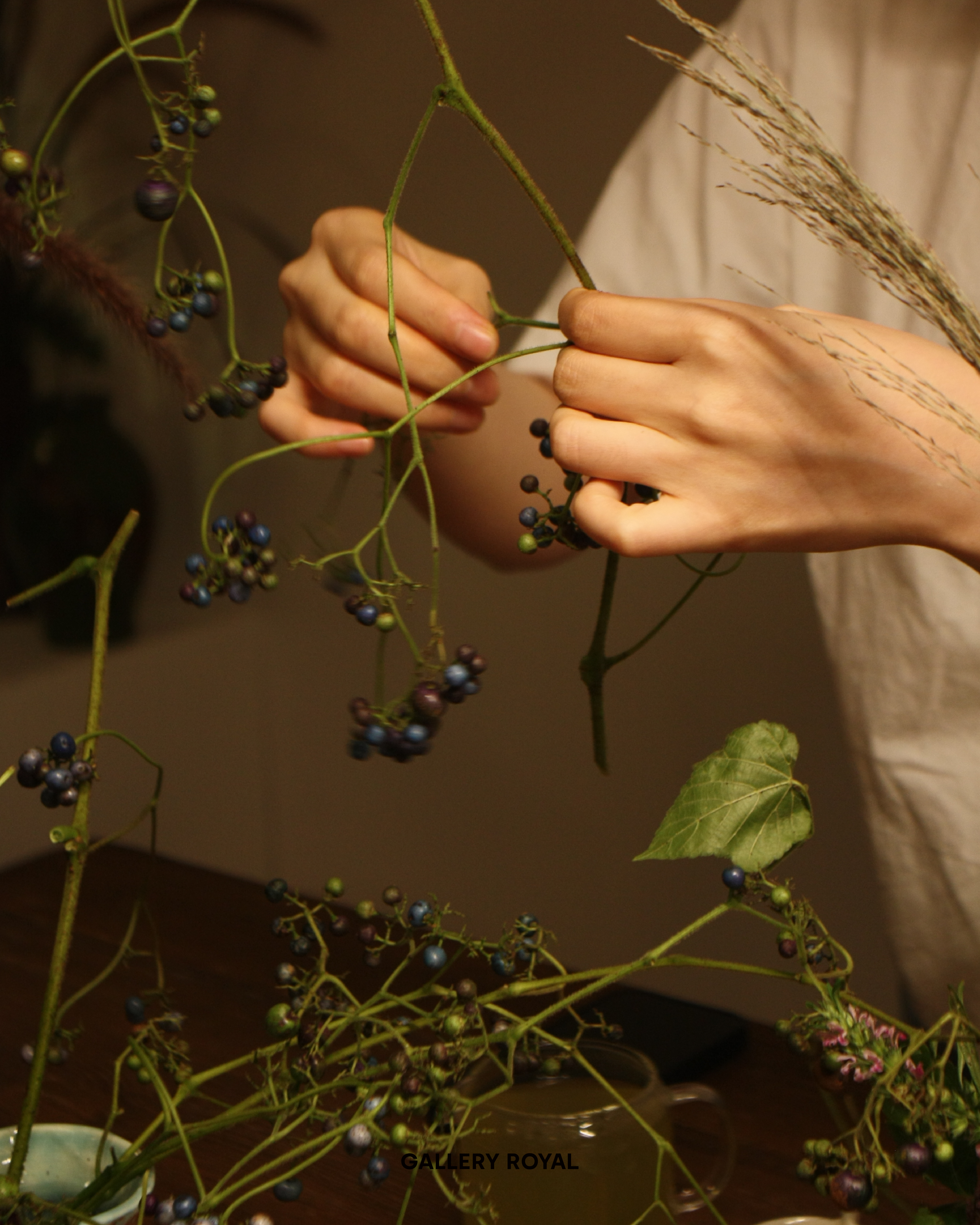 visit 대표이미지