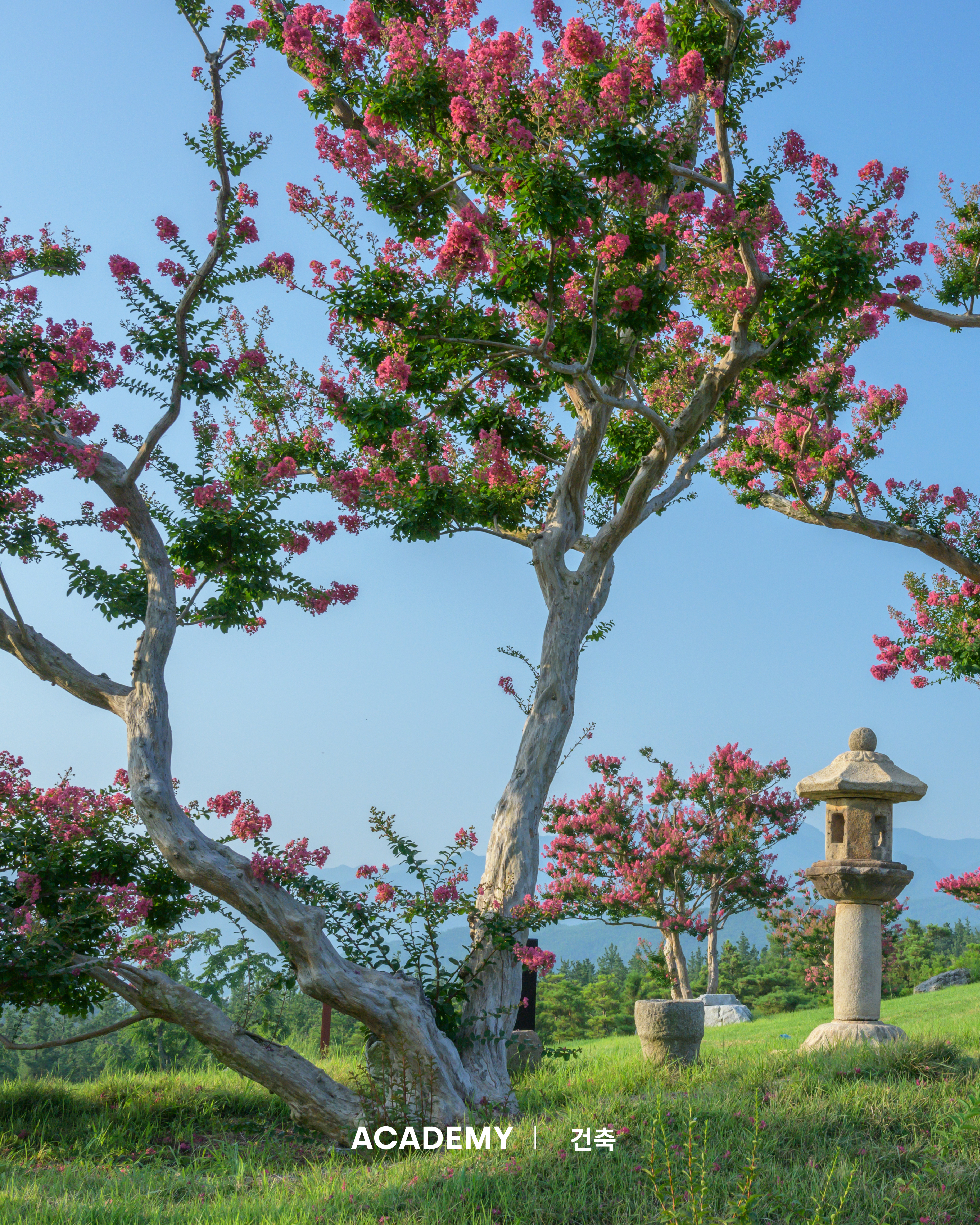 visit 대표이미지